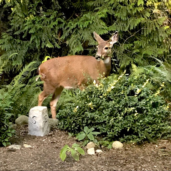 Meet Your Posher - Picture 5 of 6